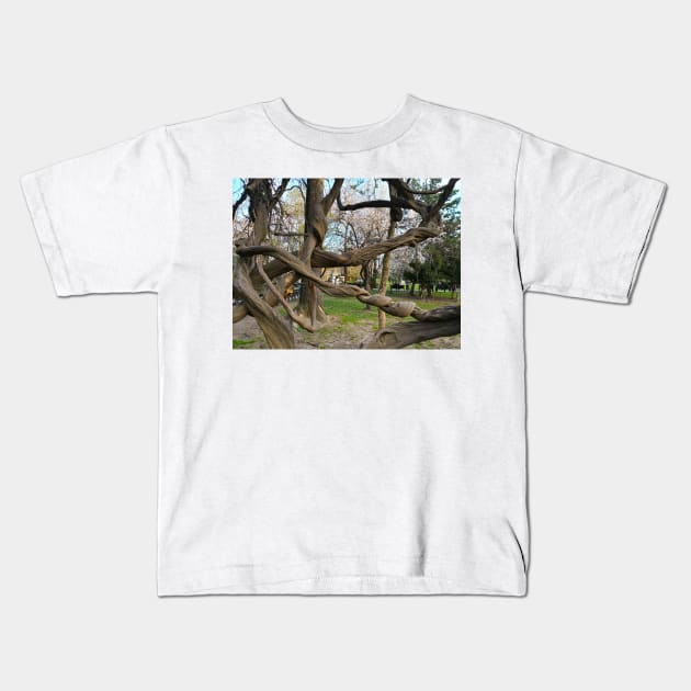 Bucharest Park Capture - Cismigiu Gardens Old Twisted Tree Kids T-Shirt by Marian Voicu